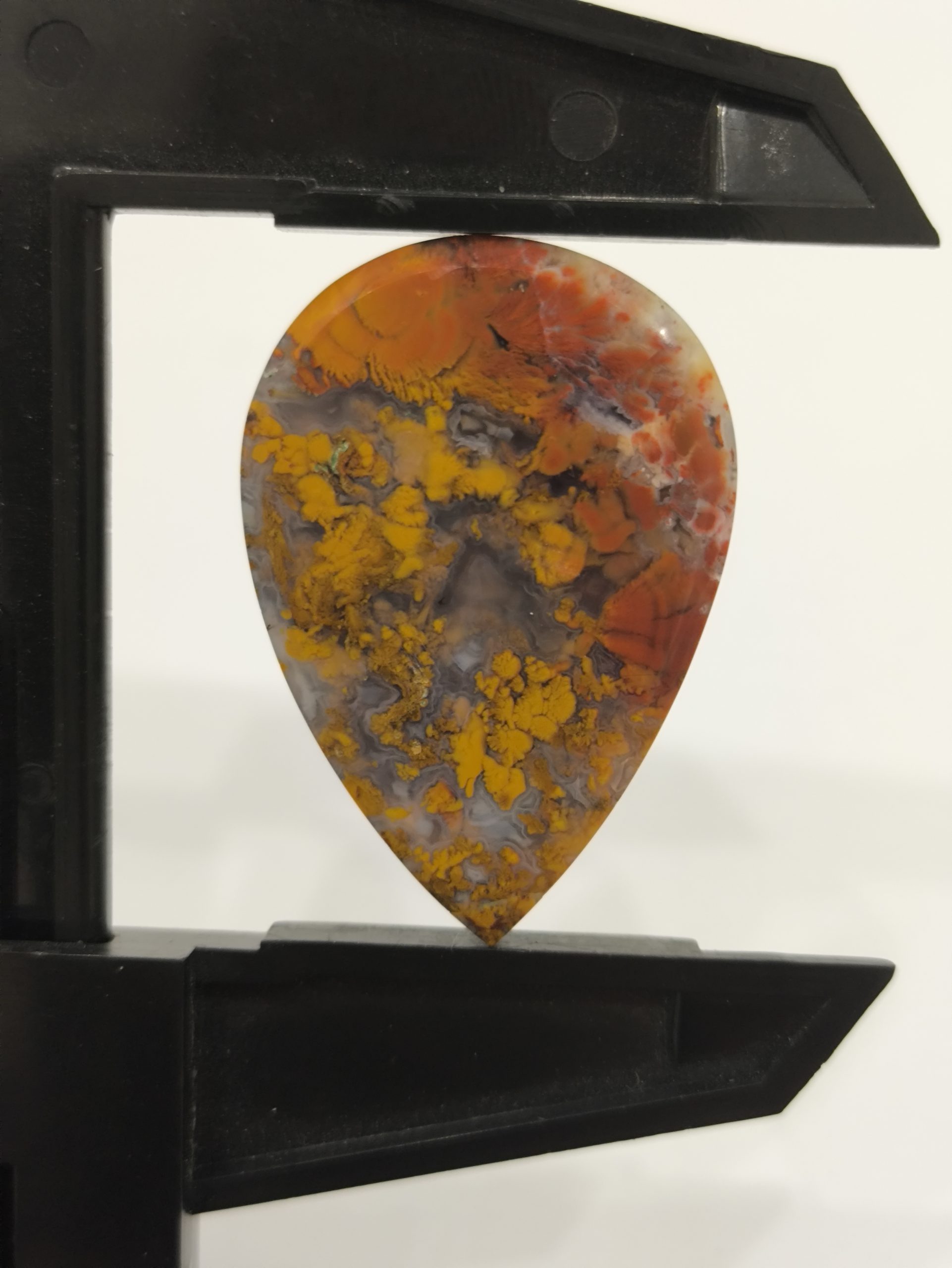 تصویر شجر پاییزی کد297 